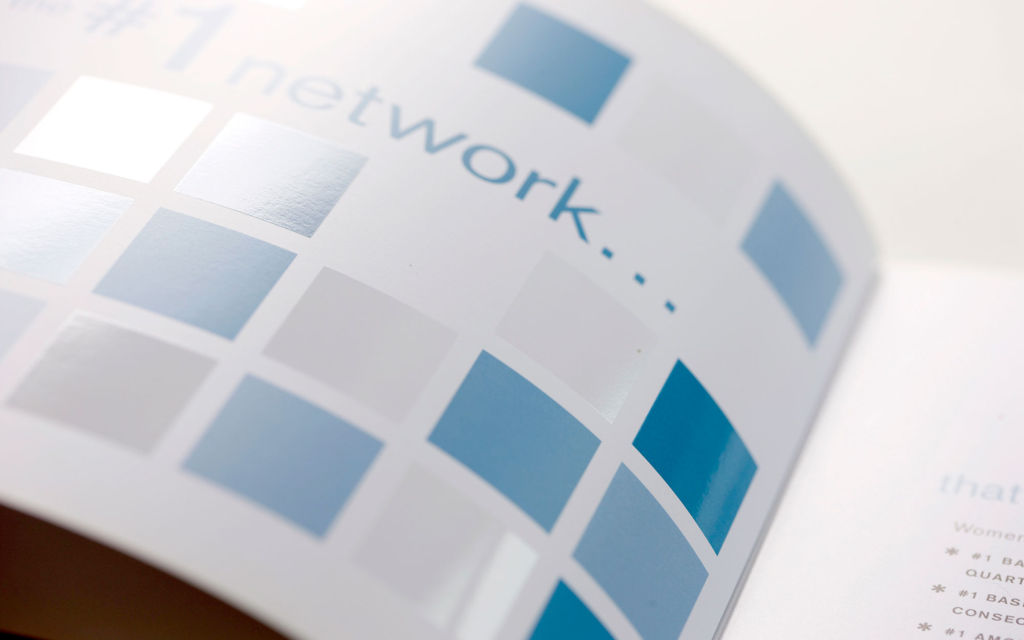 Lifetime Network Brochure